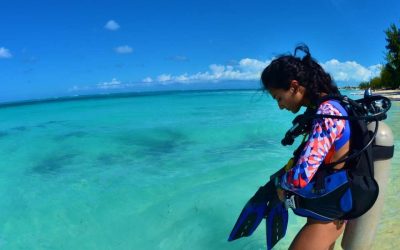 Meilleure période plongée Caraïbes : quand partir pour profiter de conditions idéales ?