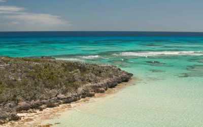 Cat Island Caraïbes à visiter : pourquoi cette île mystérieuse mérite-t-elle le détour ?