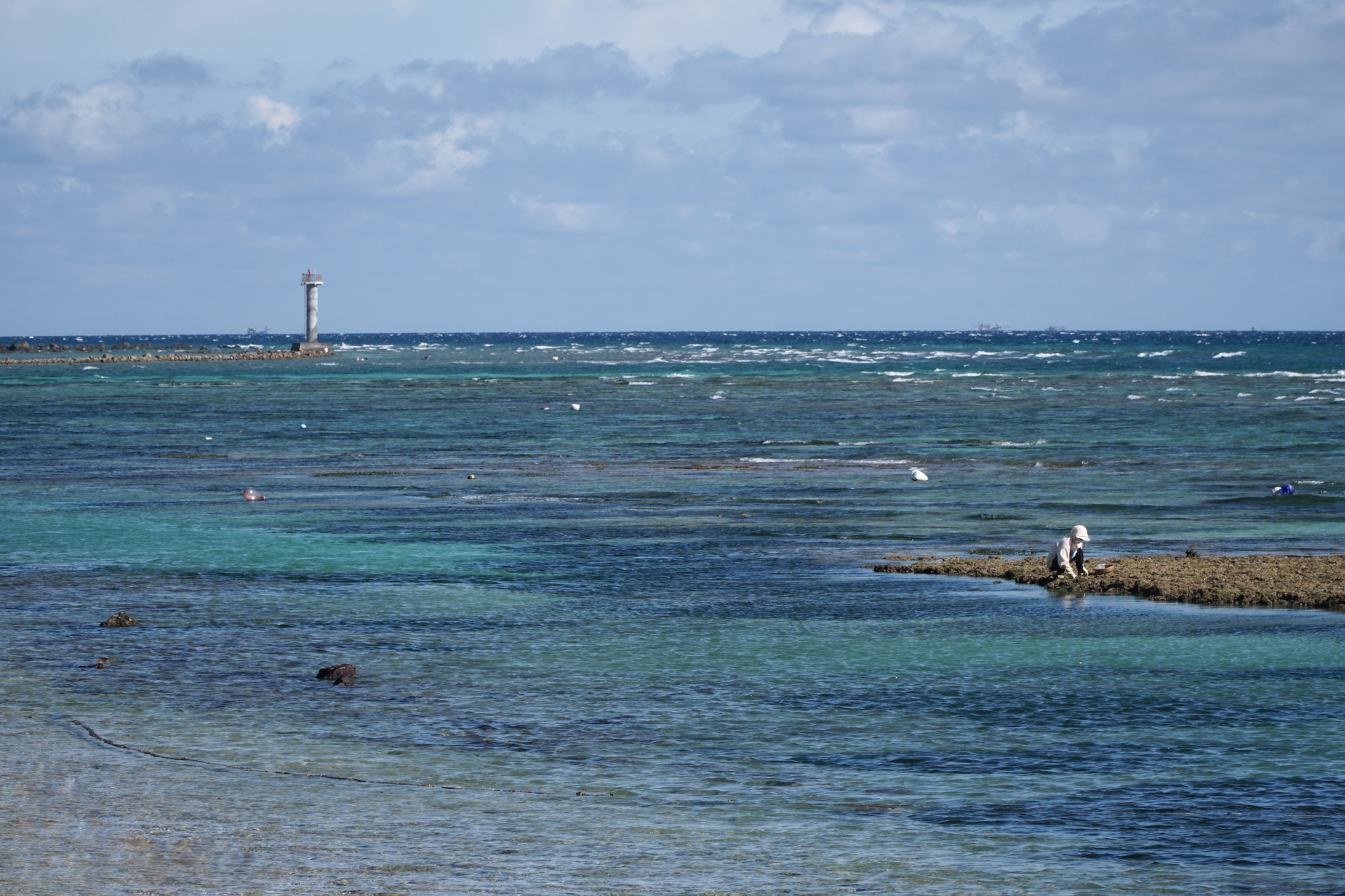 Comment les sargasses affectent votre séjour en Guadeloupe ?
